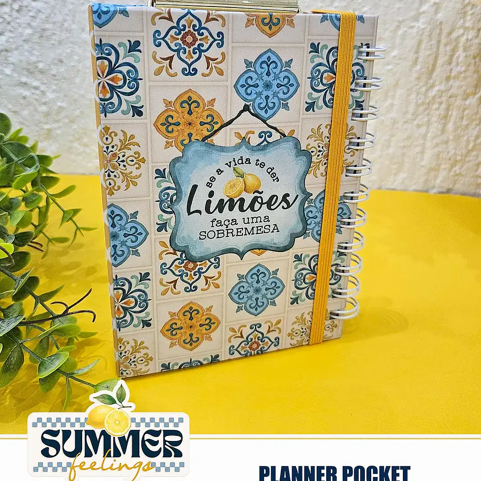 Arquivo Summer Feelings Encad Especial + VÍDEO 5