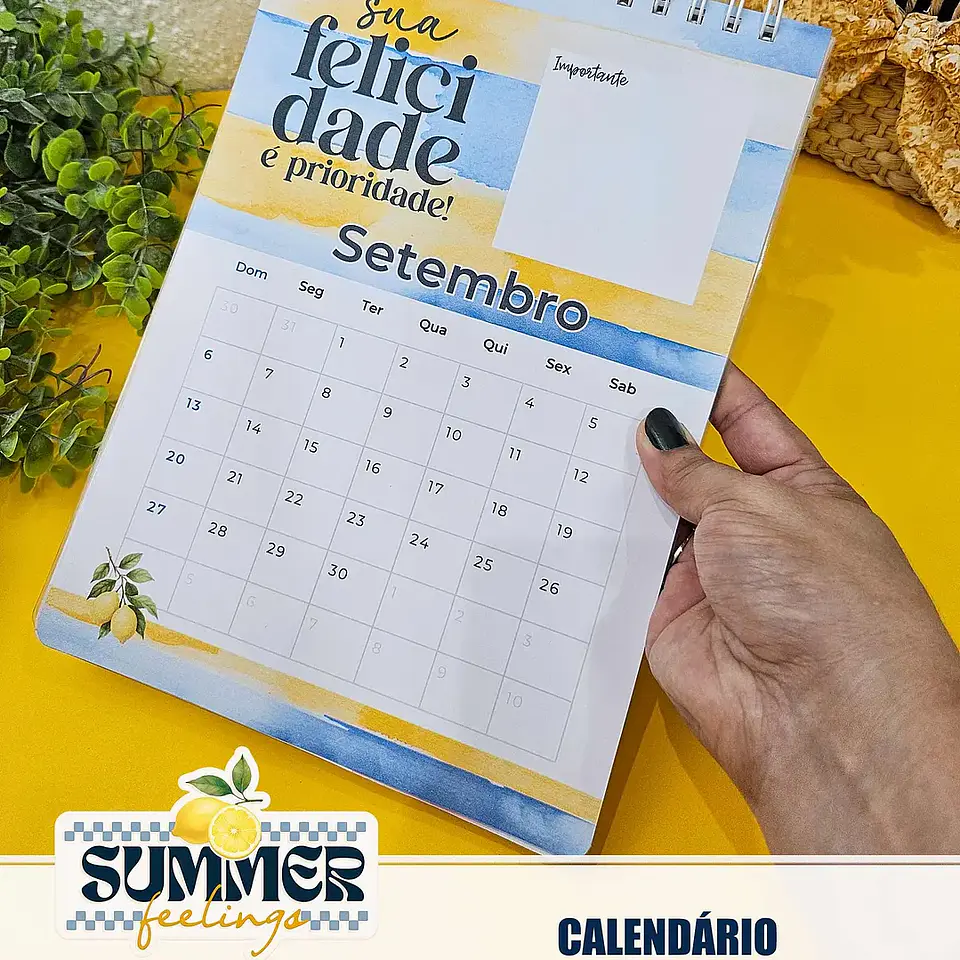 Arquivo Summer Feelings Encad Especial + VÍDEO 6