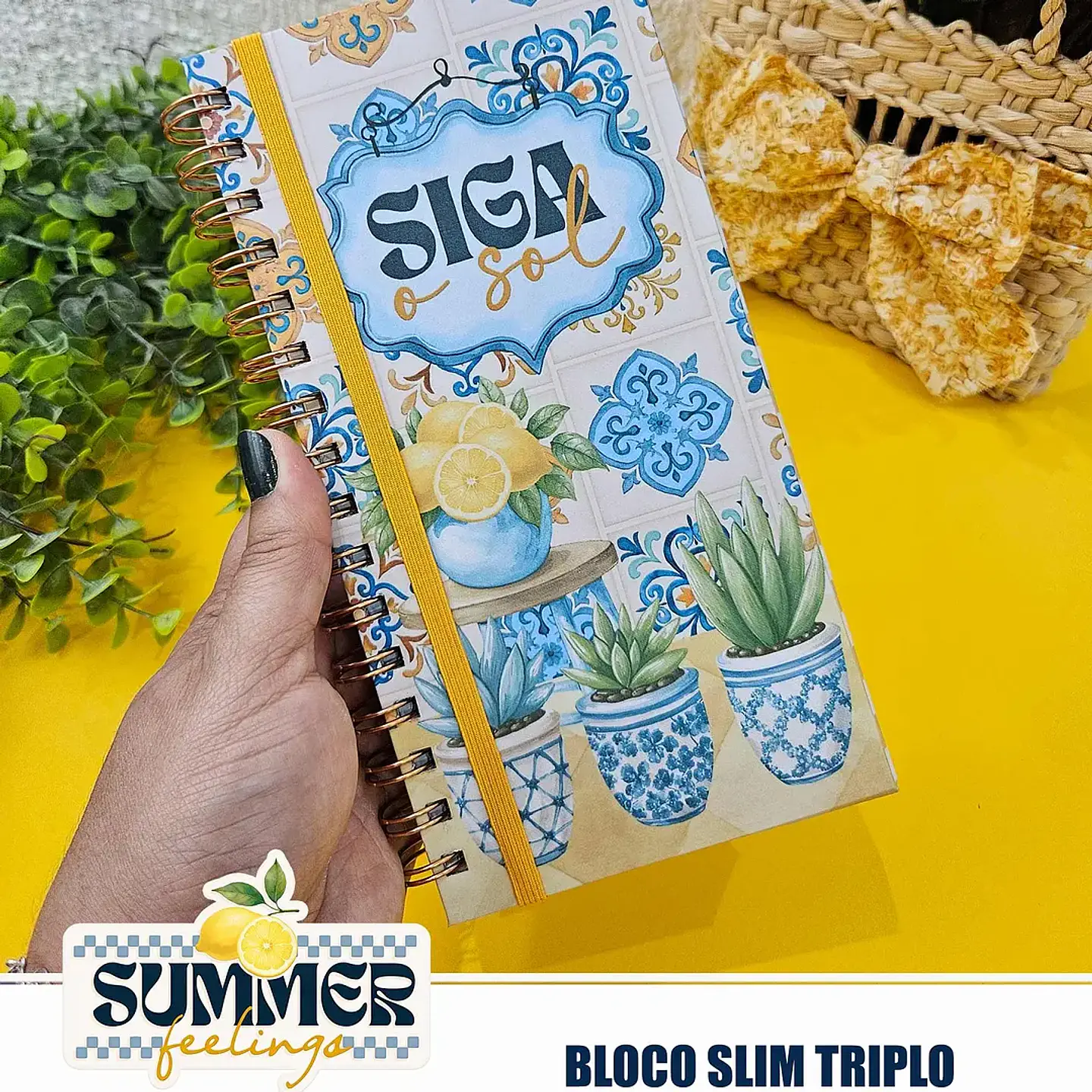 Arquivo Summer Feelings Encad Especial + VÍDEO 9