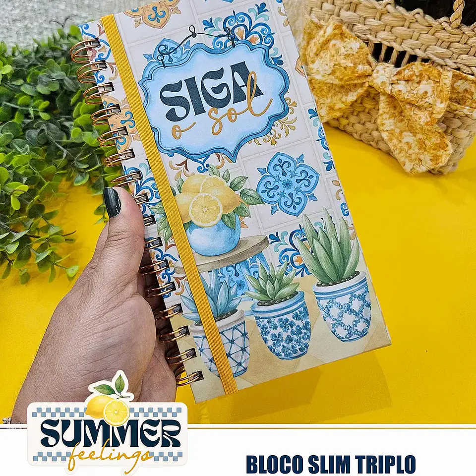 Arquivo Summer Feelings Encad Especial + VÍDEO 9