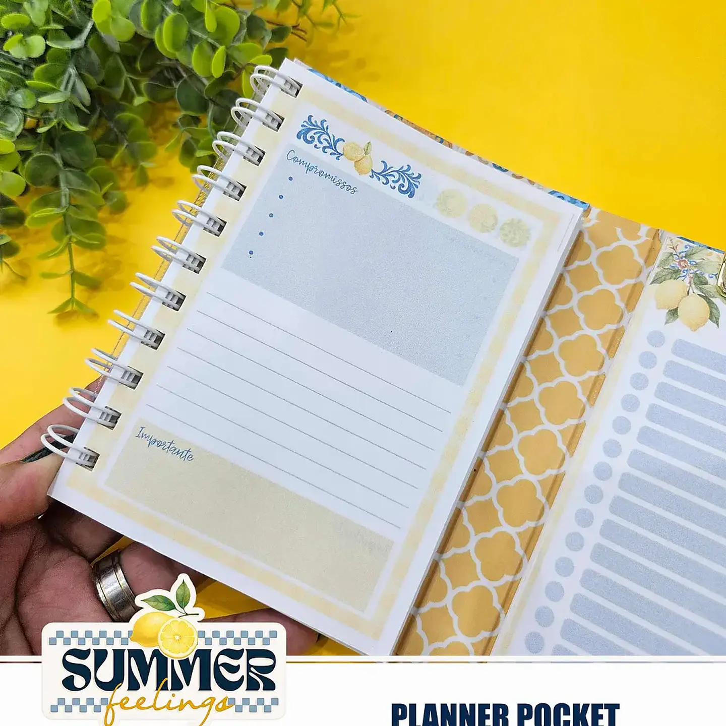 Arquivo Summer Feelings Encad Especial + VÍDEO 10