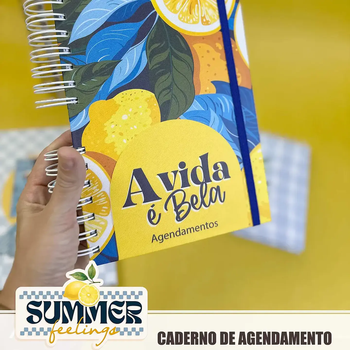 Arquivo Summer Feelings Encadernação 0.2 14