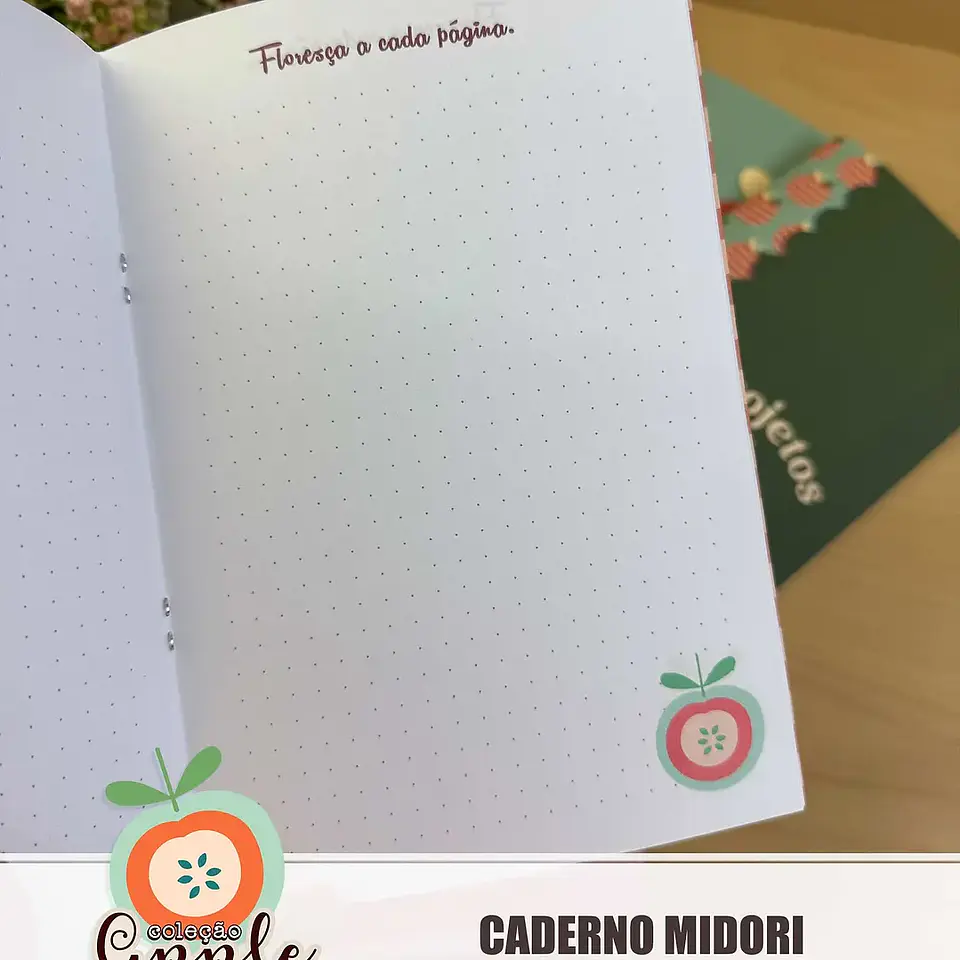 Arquivo Caderninhos Midori 2