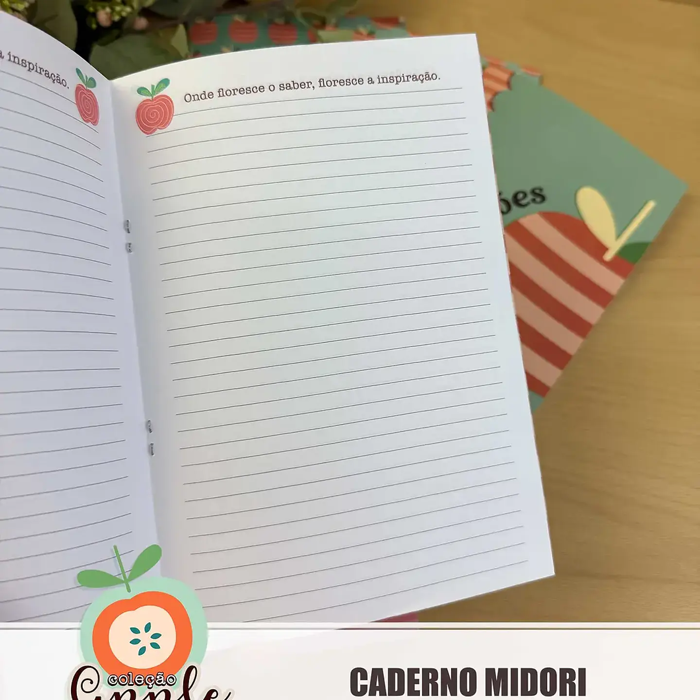 Arquivo Caderninhos Midori 3
