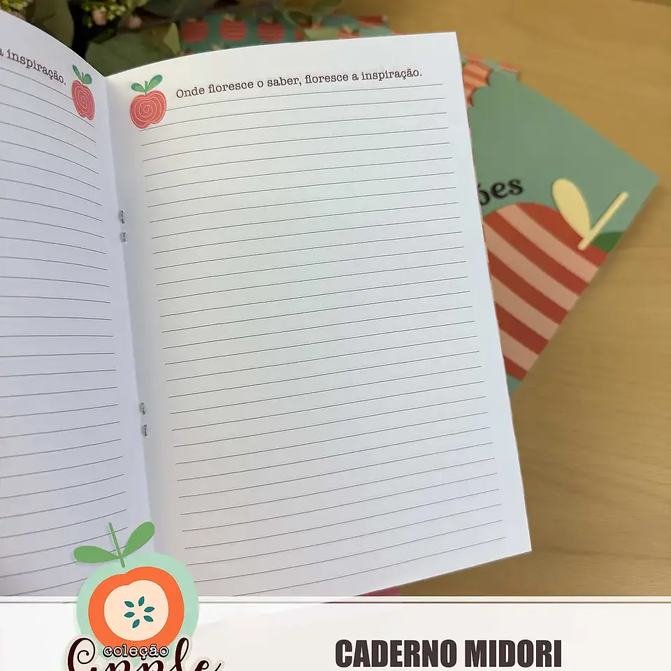 Arquivo Caderninhos Midori 3