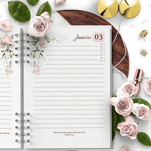 Arquivo Combo Agendas 2026 e Per Floral Rosa - Bicho papel