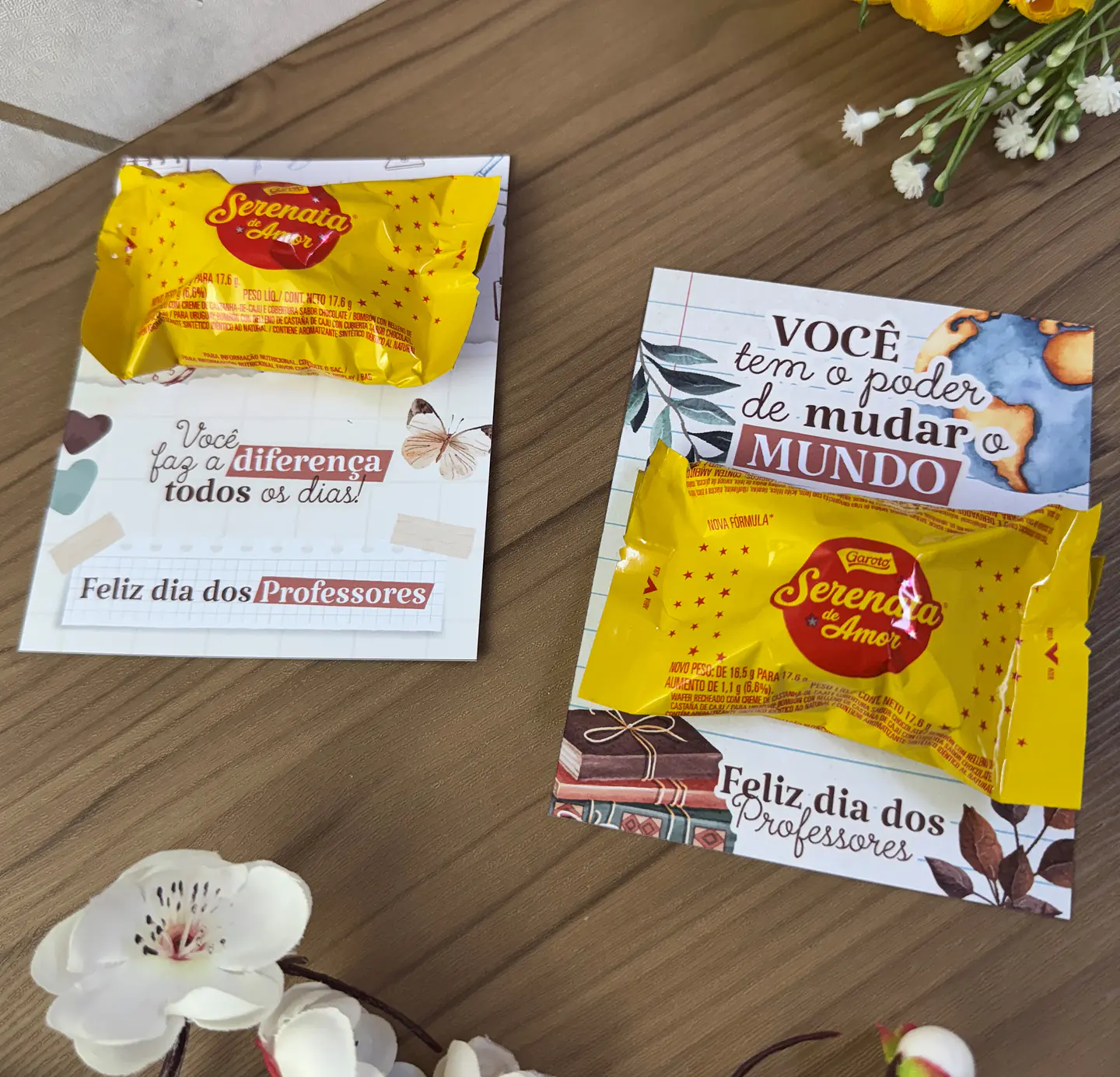 Arquivo Combo Professores - Madi 6