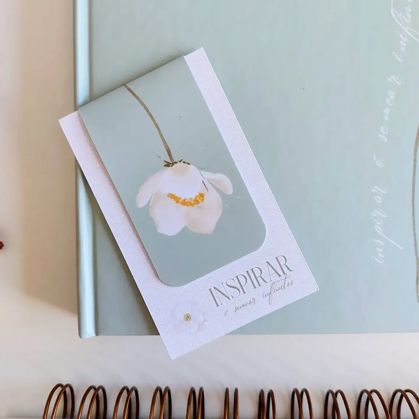 Arquivo Professores Coleção Inspiração 2026 - Marta Iurkiu 2