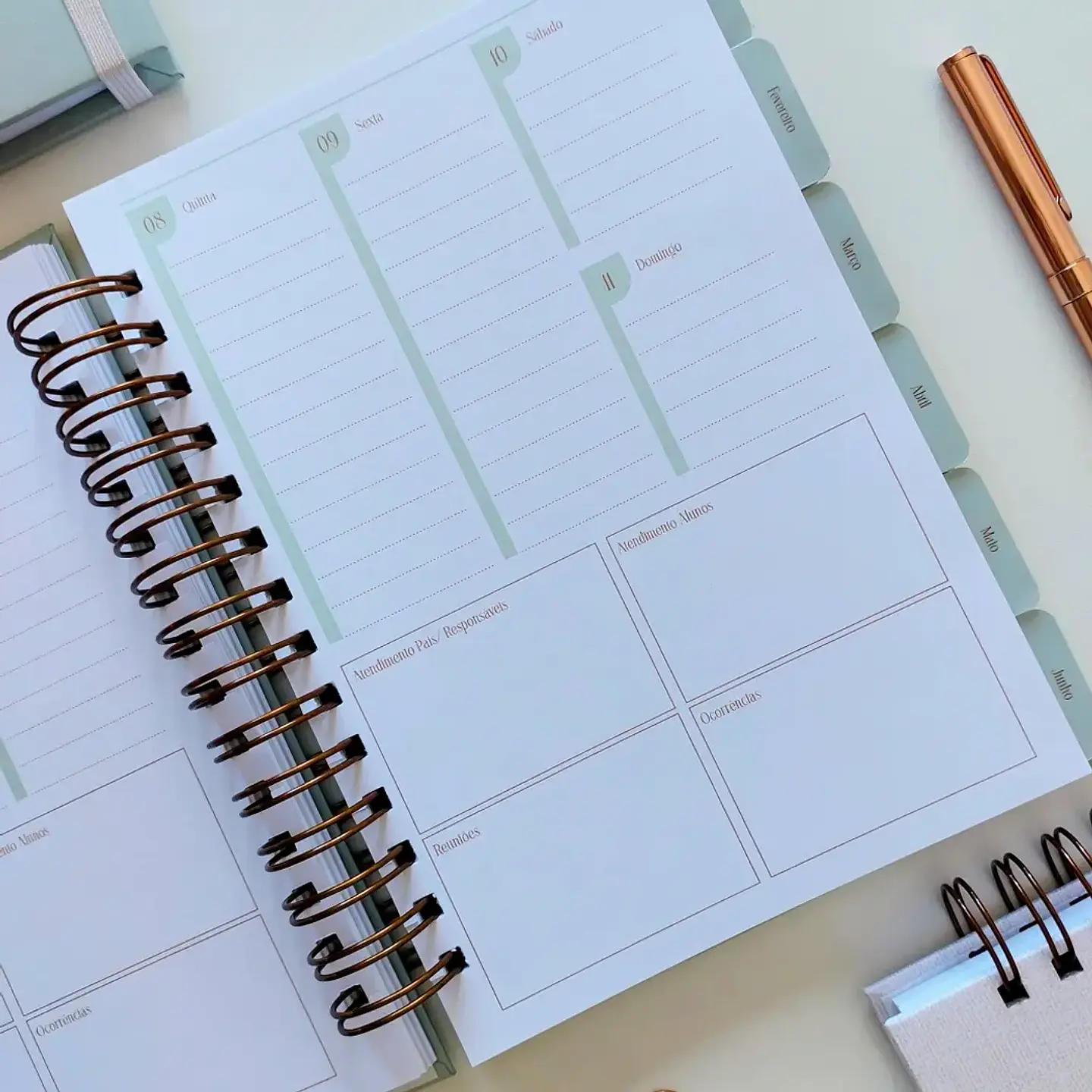 Arquivo Professores Coleção Inspiração 2026 - Marta Iurkiu 8