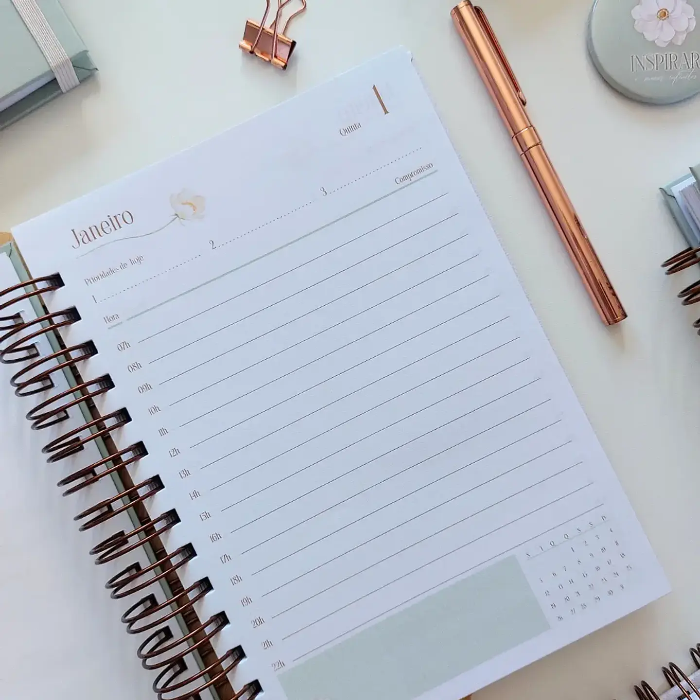 Arquivo Professores Coleção Inspiração 2026 - Marta Iurkiu 9