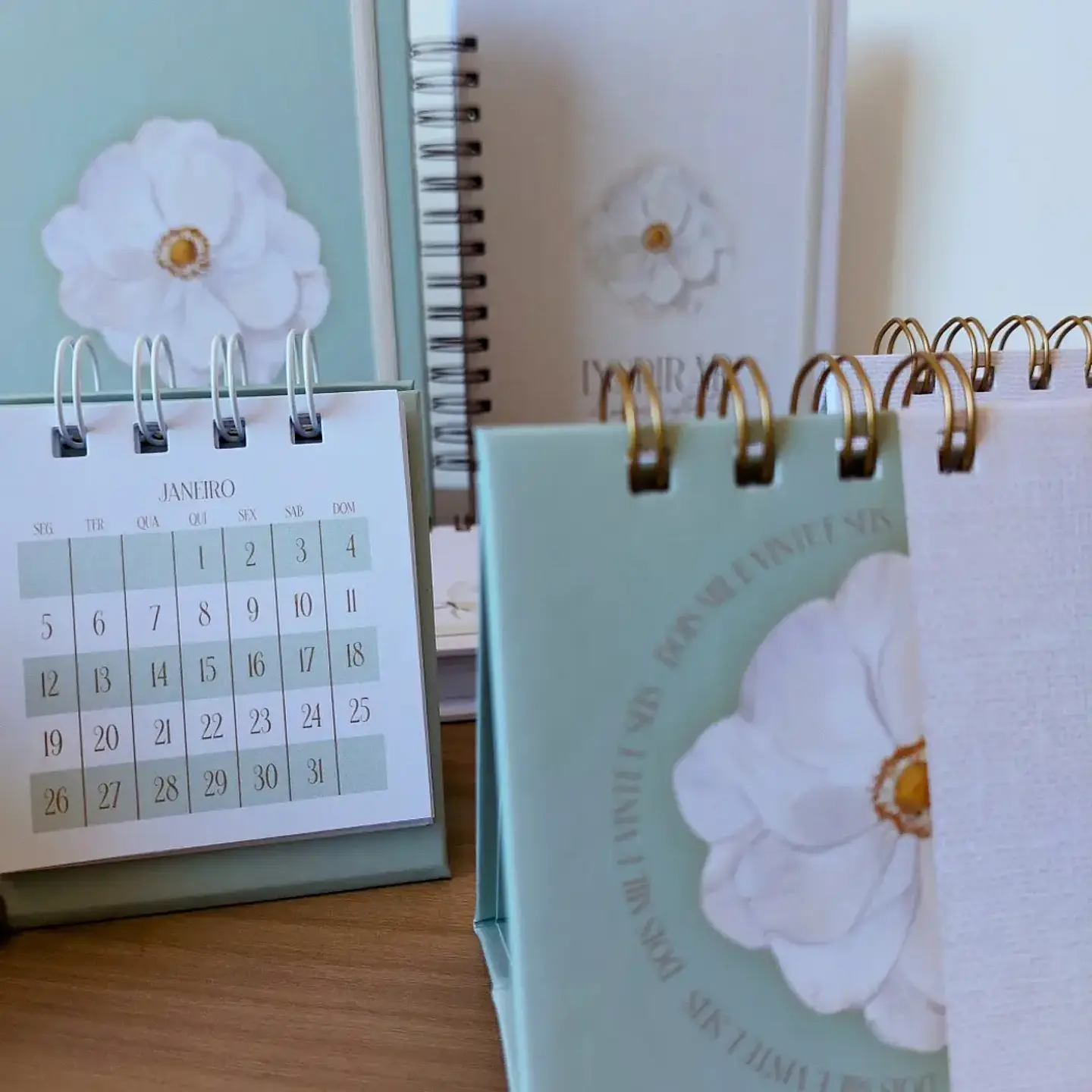 Arquivo Professores Coleção Inspiração 2026 - Marta Iurkiu 10