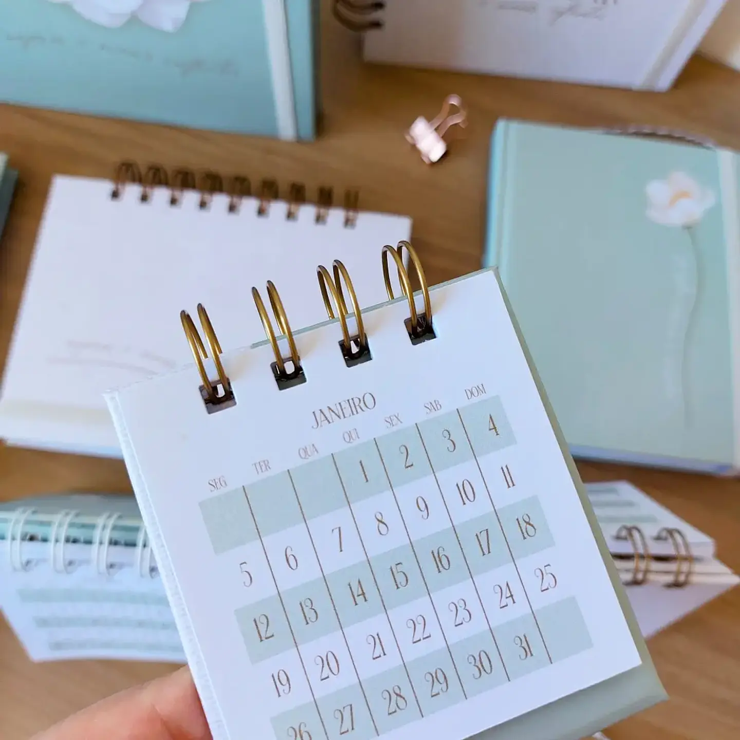 Arquivo Professores Coleção Inspiração 2026 - Marta Iurkiu 13