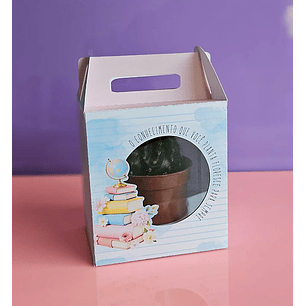 Arquivo Professores Caixa Suculenta - Natalia