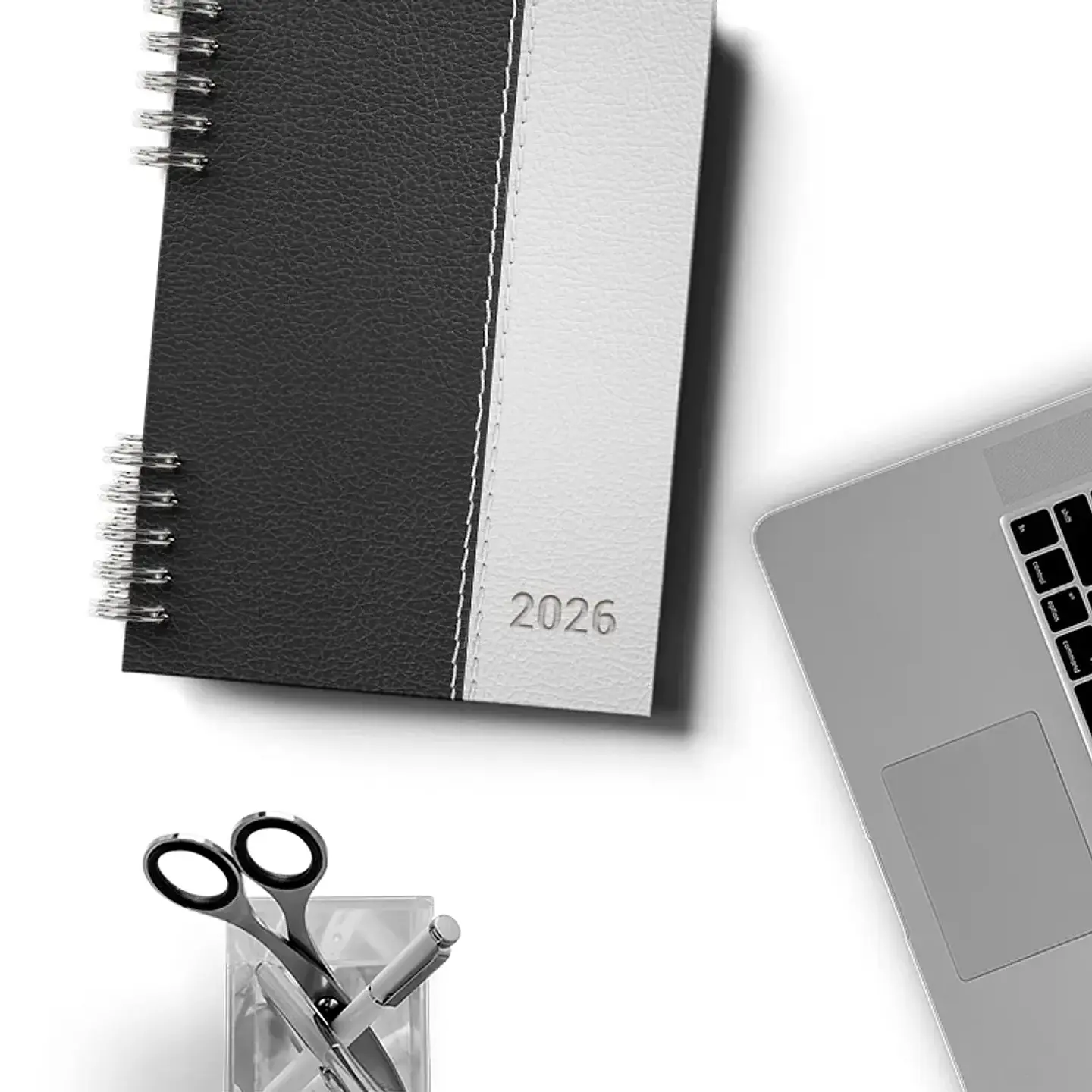 Arquivo Capas Masculinas 2026 - Bicho Papel 2