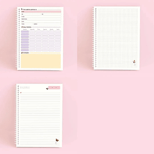 Arquivo Miolo Caderno Universitário 20x27cm - TELMA