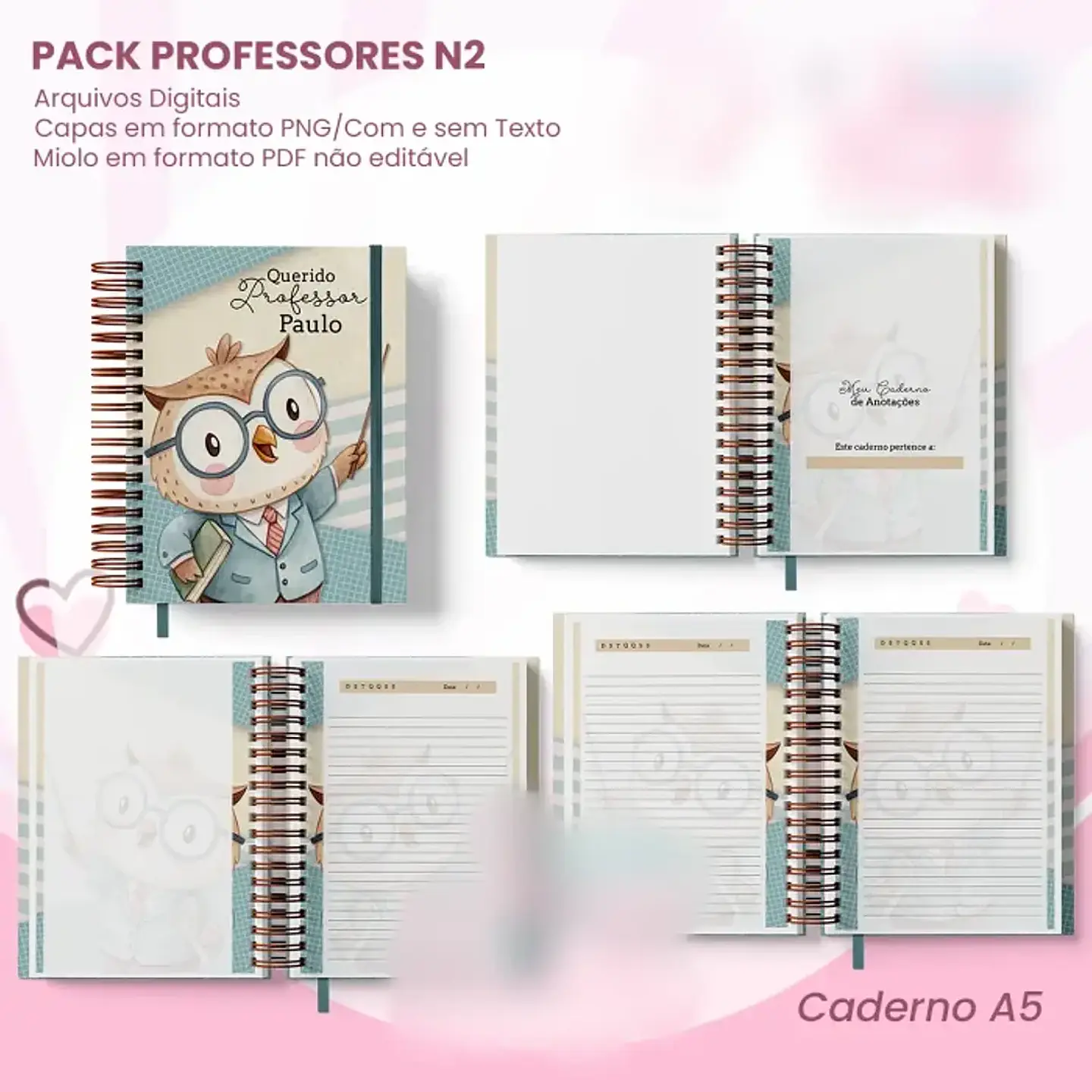 Arquivo Combo N2 Professores - Jana Bicalho 6