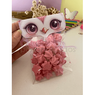 Arquivo Lapela Corujinha Rosa Professores - Crisolart