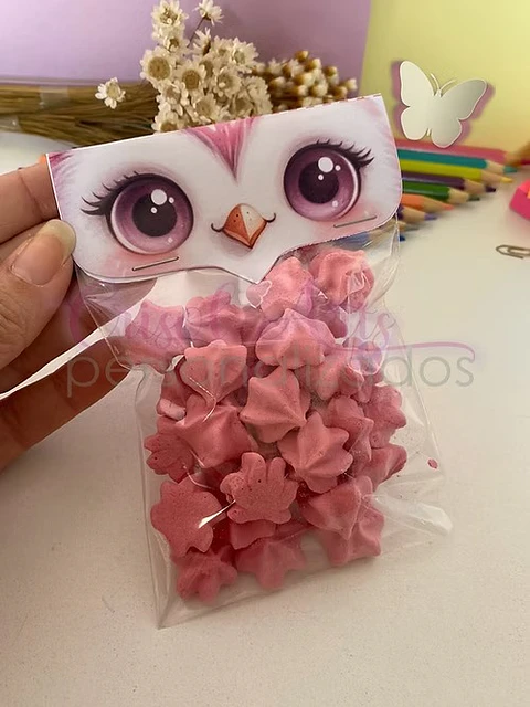 Arquivo Lapela Corujinha Rosa Professores - Crisolart
