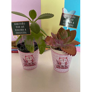 Arquivo Porta Suculenta Professores - Crisolart