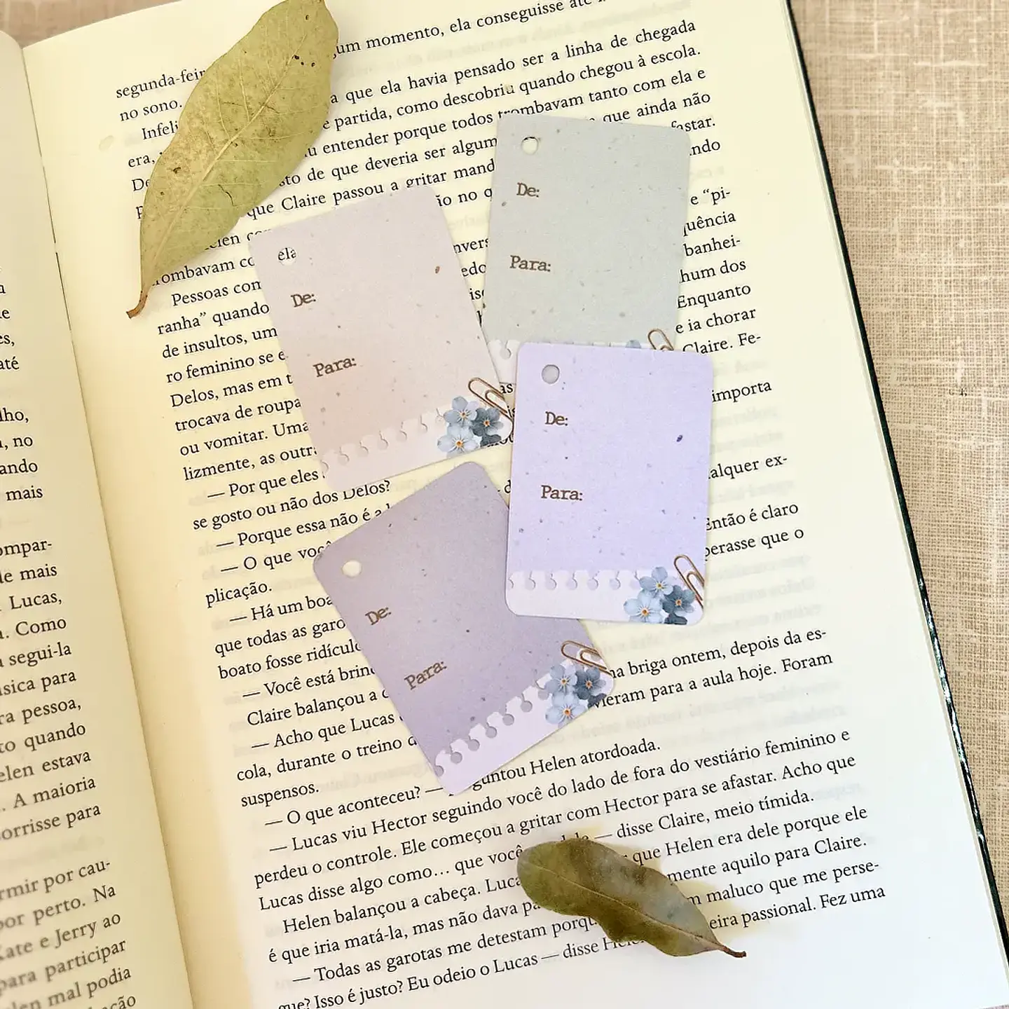 Arquivo Combo Embalar Professores - Duo 23