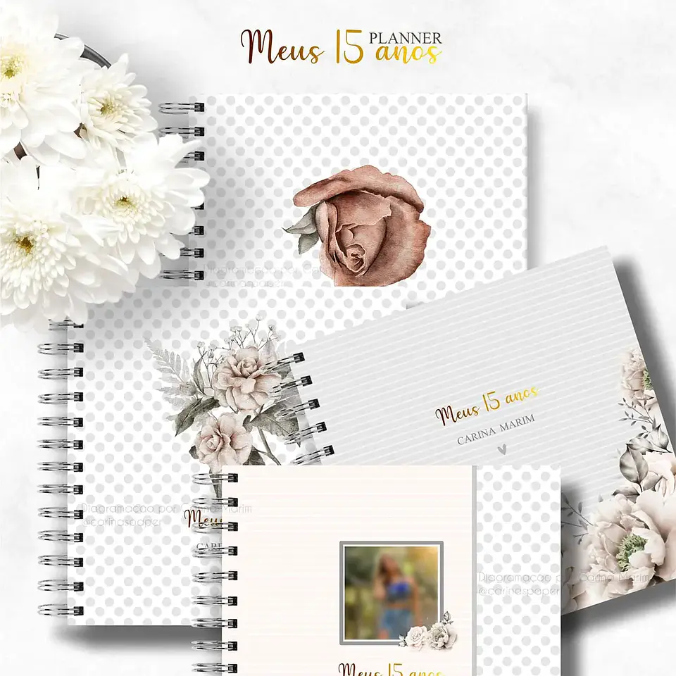 Arquivo Planner Debutante 1