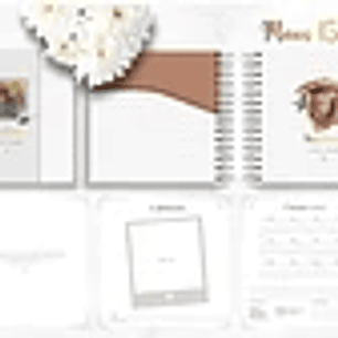 Arquivo Planner Debutante