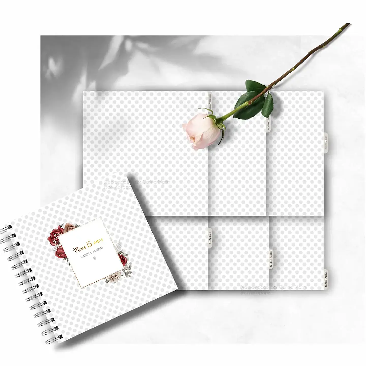 Arquivo Planner Debutante 4