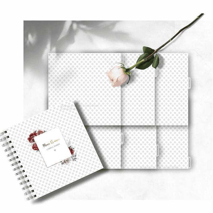 Arquivo Planner Debutante 4