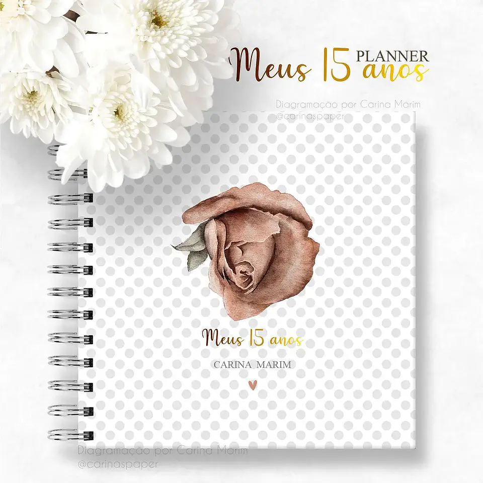 Arquivo Planner Debutante 5