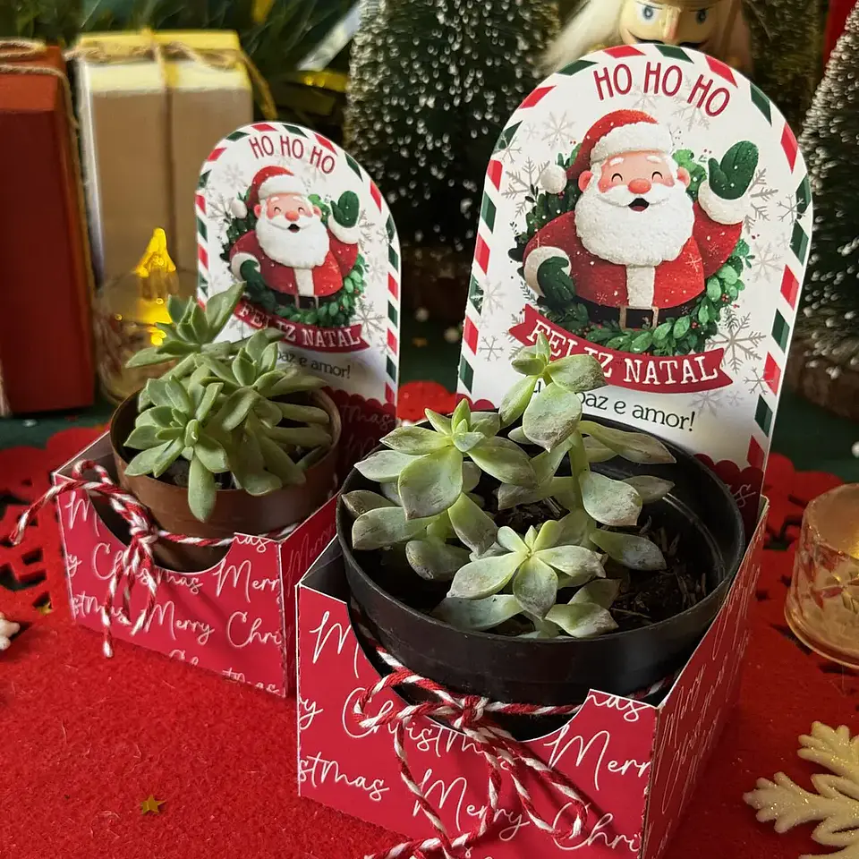 Arquivo Pré Venda Coleção Natal - Ilustracin 2