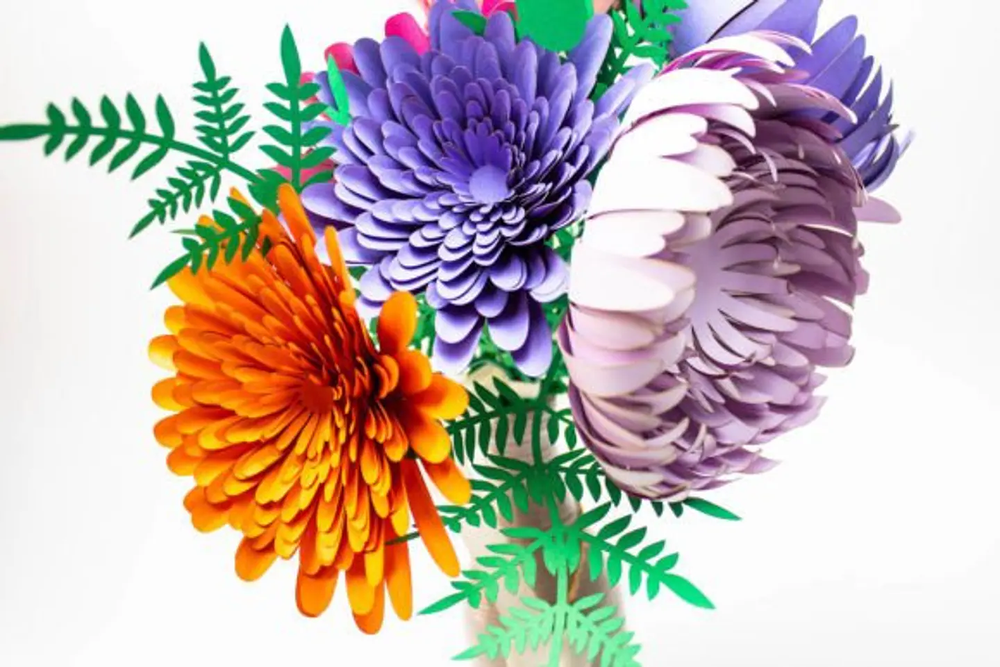 Arquivo de corte Flor Zínia e Crisântemo 1