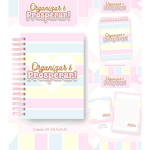 Arquivo Combo Financeiro Organizar é Prosperar - Pamella