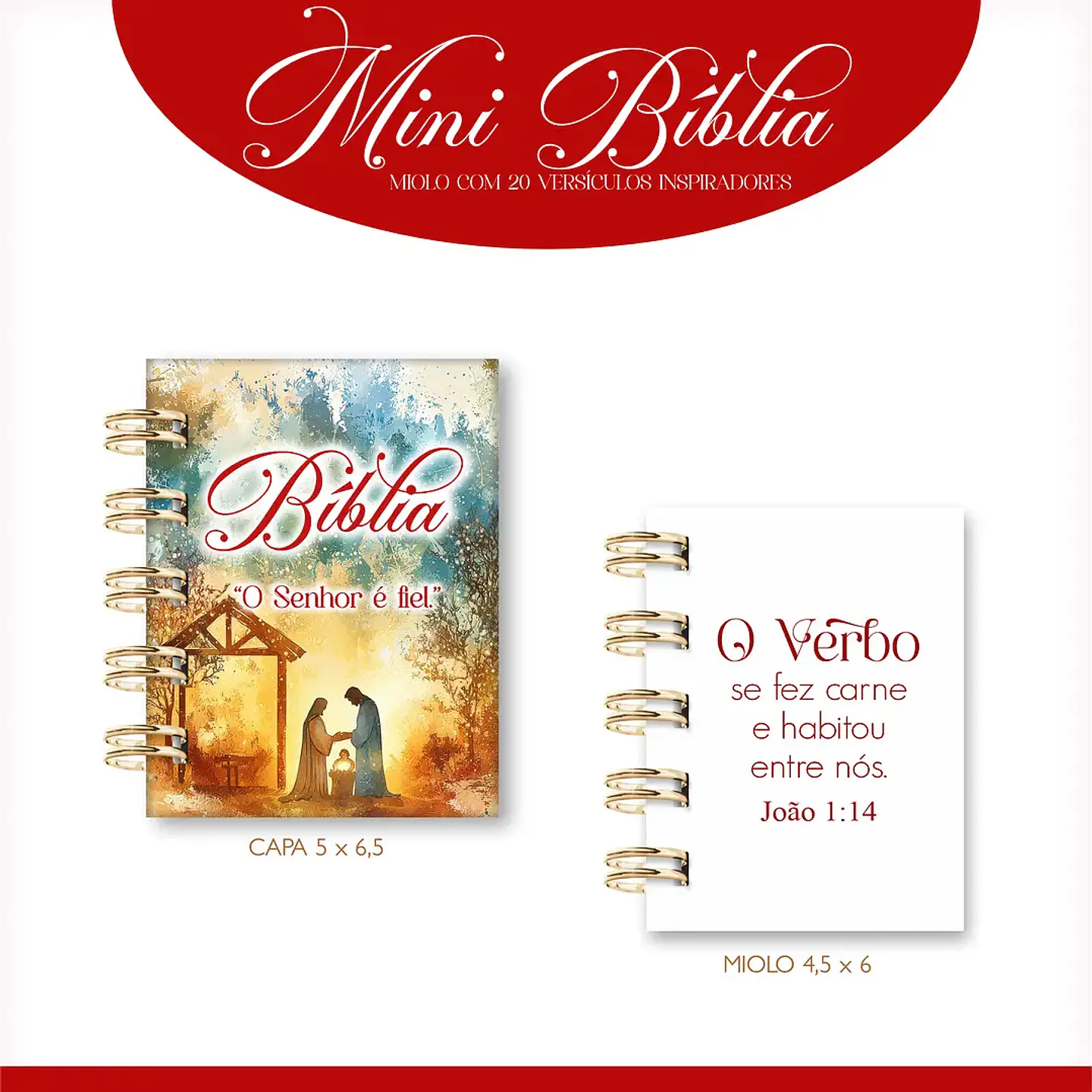 Arquivo Mini Bíblias - Lina 5
