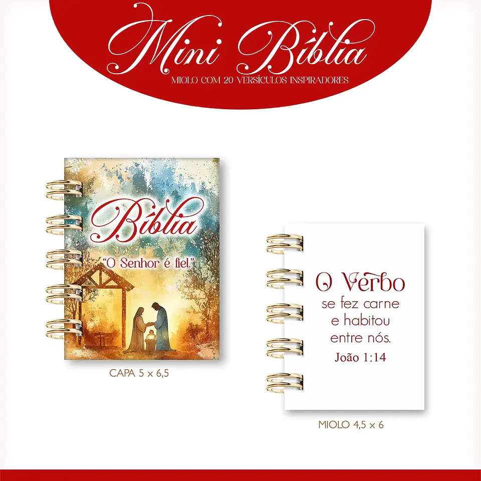 Arquivo Mini Bíblias - Lina 5