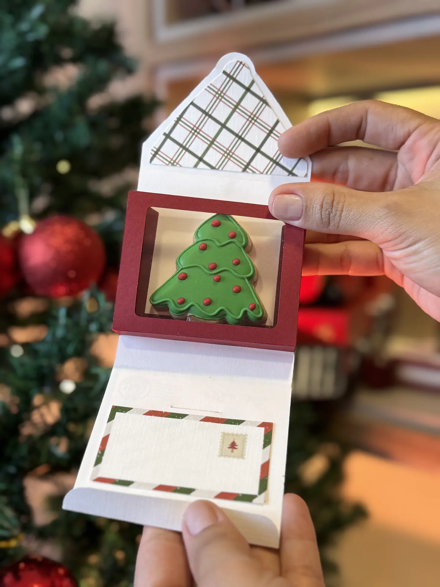 Arquivo Natal Card Envelope - Sublime 2