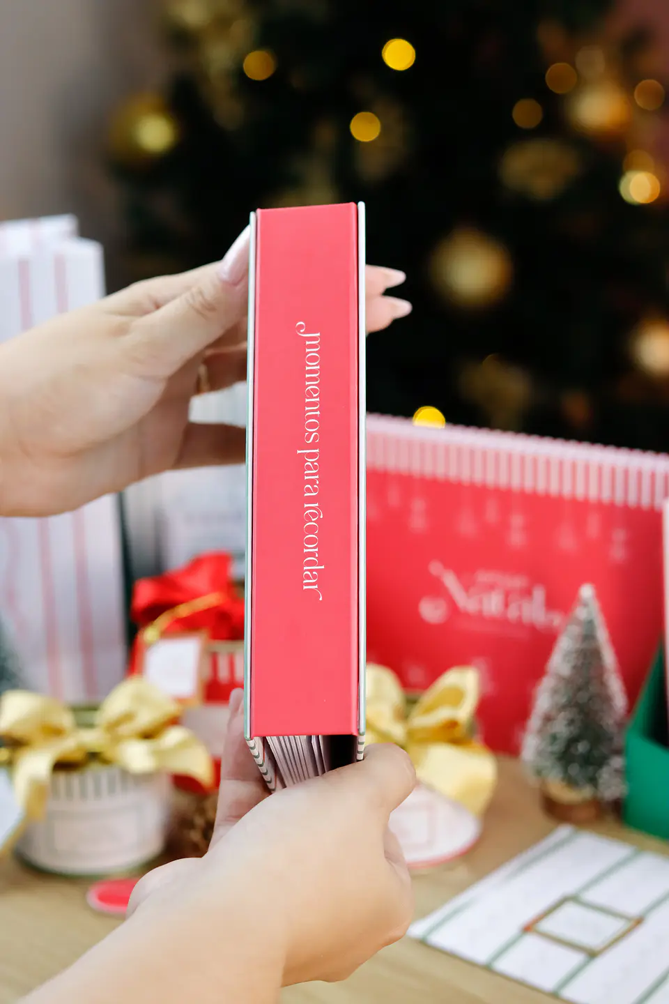 Arquivo Encadernação Natal 3.0 - ESTUDIO G19 22