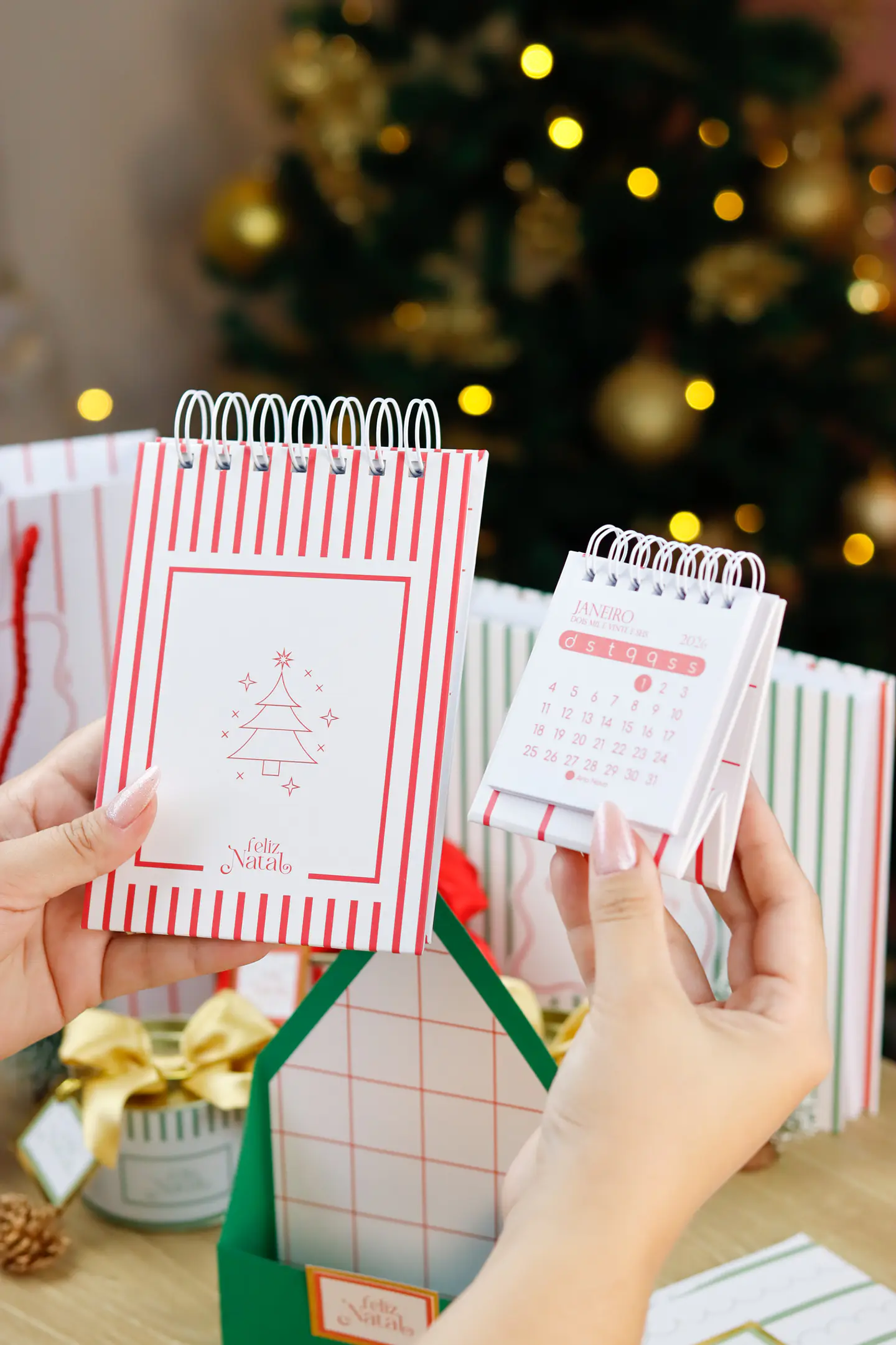 Arquivo Encadernação Natal 3.0 - ESTUDIO G19 26