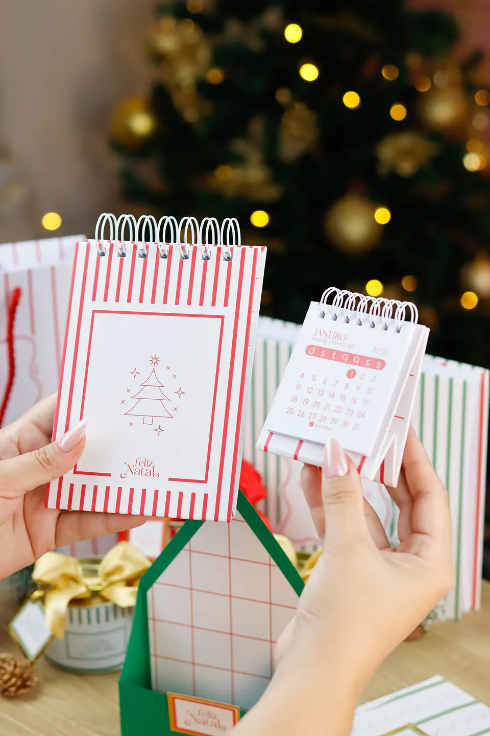 Arquivo Encadernação Natal 3.0 - ESTUDIO G19 26
