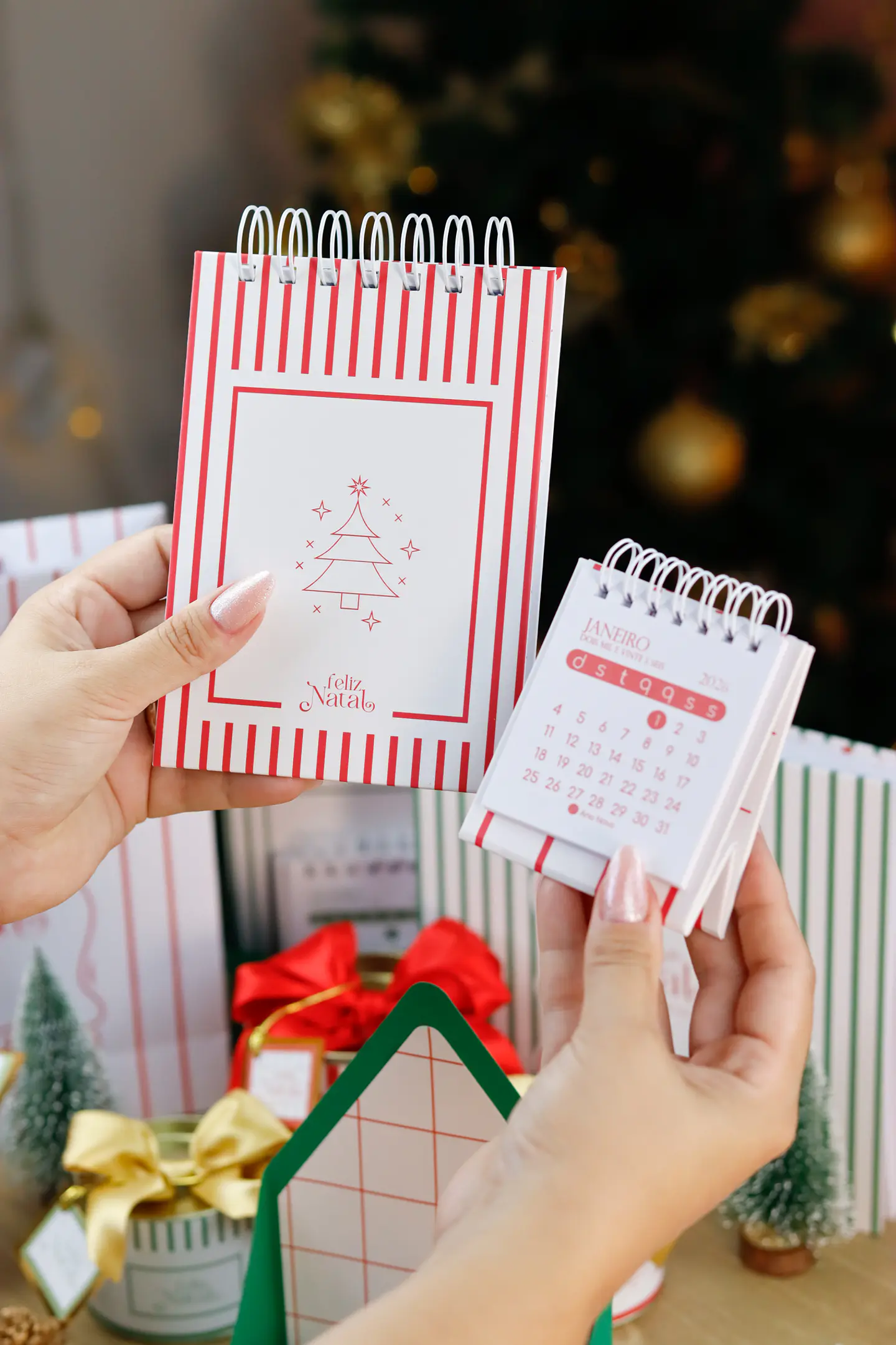 Arquivo Encadernação Natal 3.0 - ESTUDIO G19 27