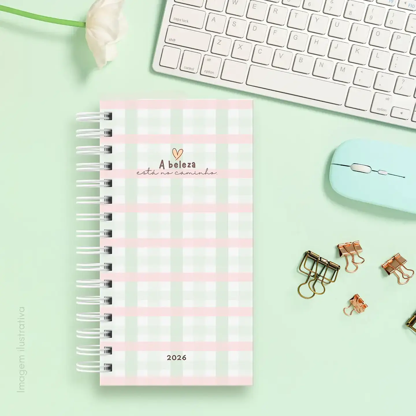 Arquivo Combo Agendas Fofas Datadas e Não Datadas - Sara 7