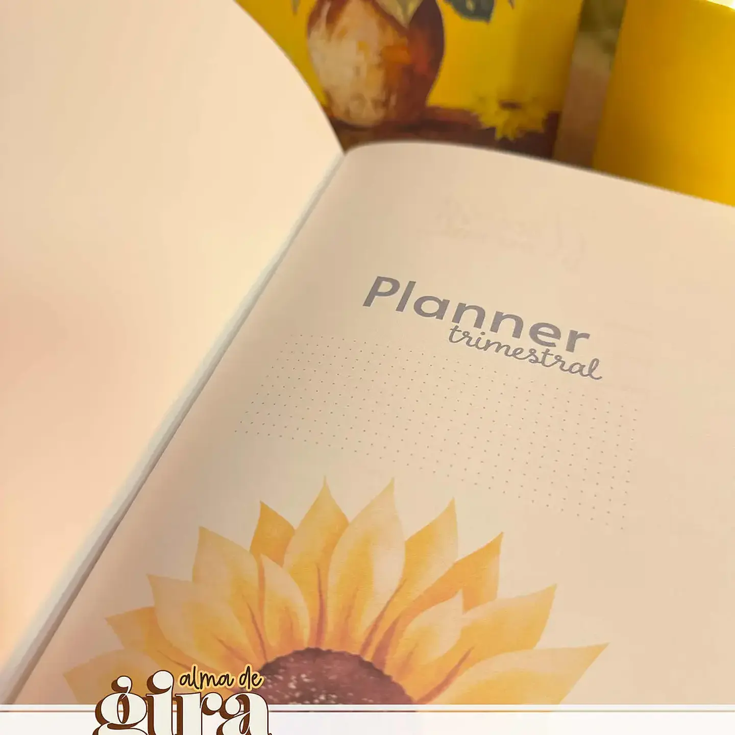 Arquivo Alma de Girassol Pack Midori 01 2