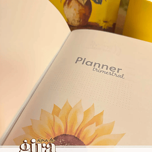 Arquivo Alma de Girassol Pack Midori 01 - Tita