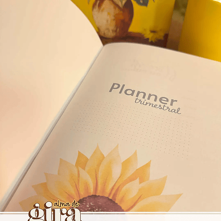 Arquivo Alma de Girassol Pack Midori 01 - Tita 2