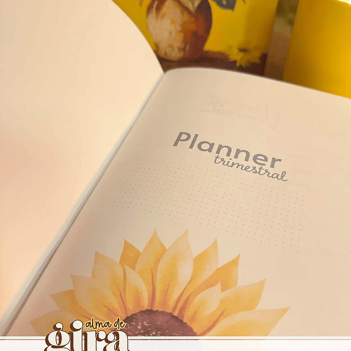 Arquivo Alma de Girassol Pack Midori 01 - Tita 2