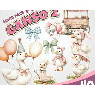 Kit Digital Gansos 2