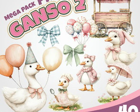 Kit Digital Gansos 2