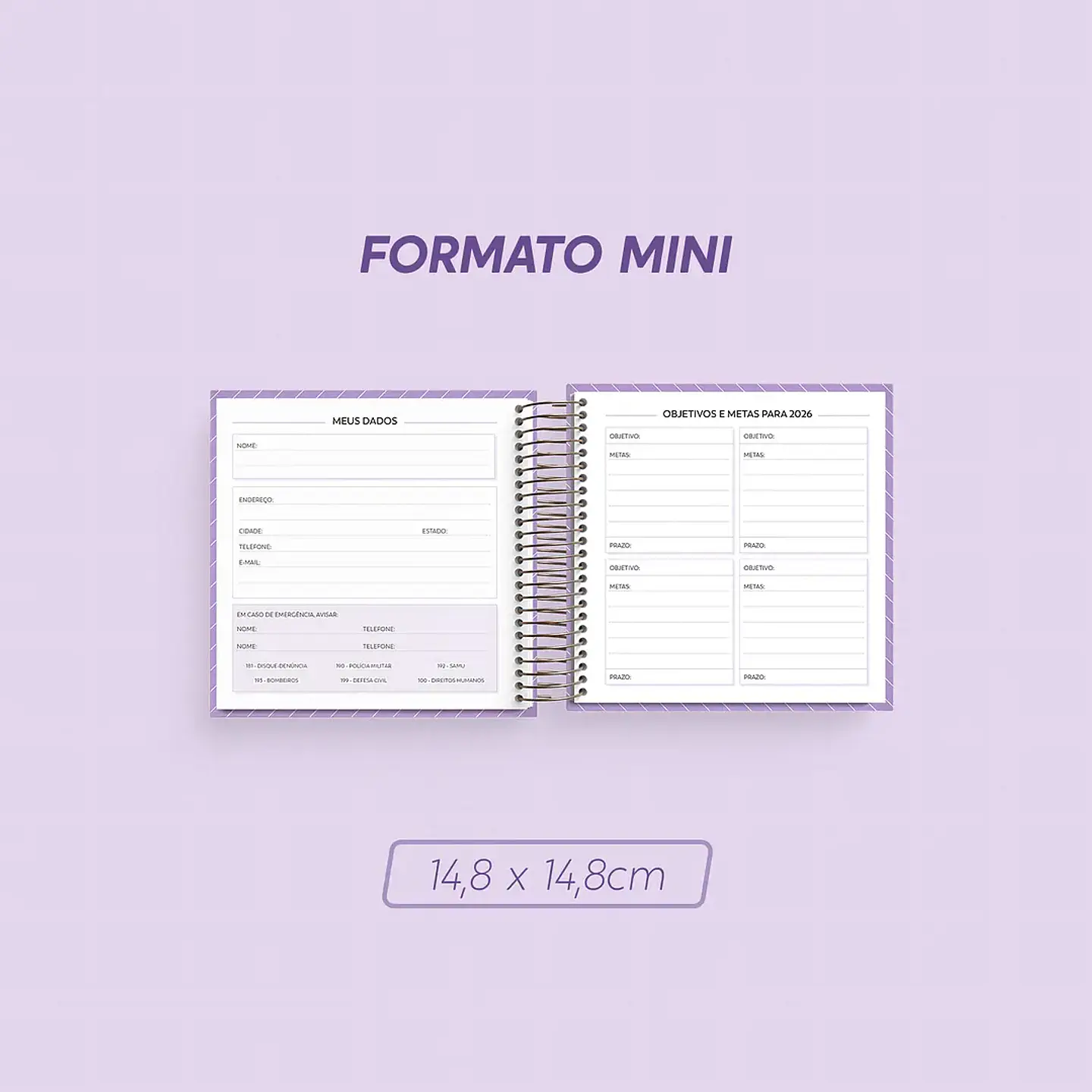 Arquivo Super Combo Agenda 2026 - Nilmara 5