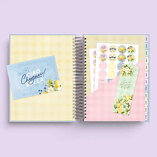 Arquivo Coleção Dolce Vita 2026 - Nilmara