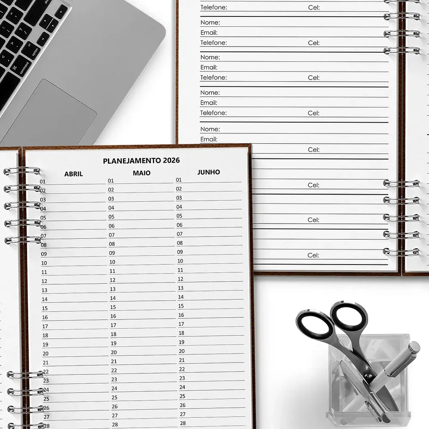 Arquivo Miolo Agenda Executiva 20x27,5 2026 - Bicho Papel 2