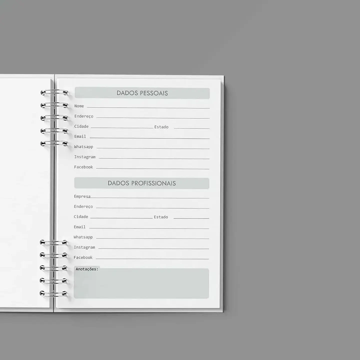 Arquivo Agenda Semanal 30min Cinza - Bicho Papel 3